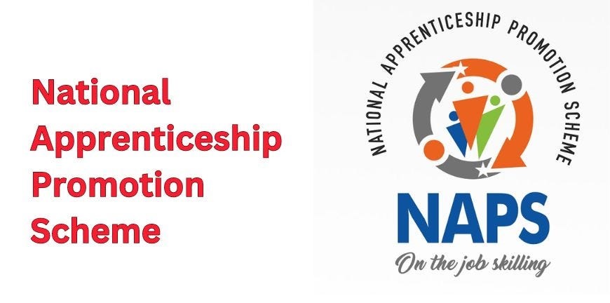 NAPS Logo